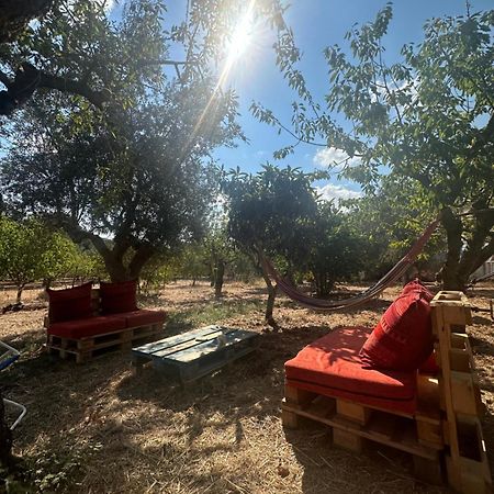 B&B Villa Tiziana Monopoli Buitenkant foto